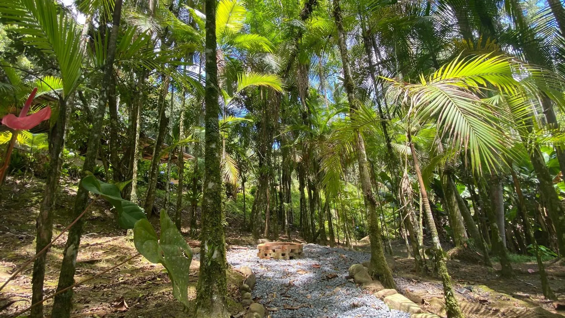 Cabana Lake Side Refugio Charmoso No Vale Europeu Benedito Novo シャレー