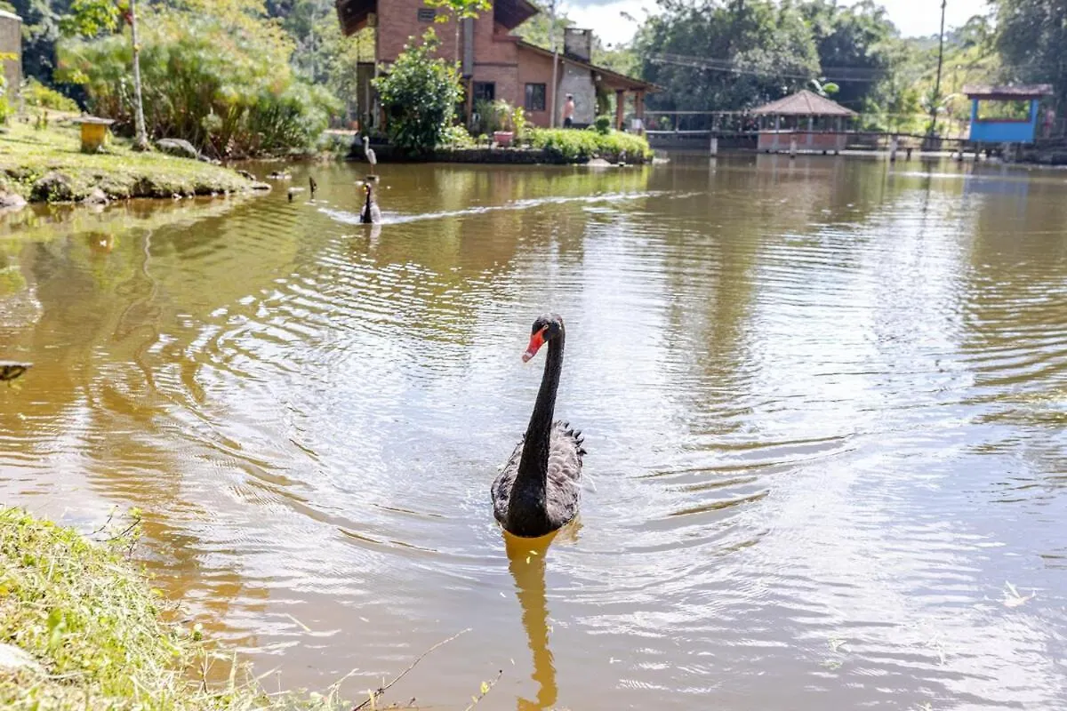 Cabana Lake Side Refugio Charmoso No Vale Europeu Benedito Novo 0*,
